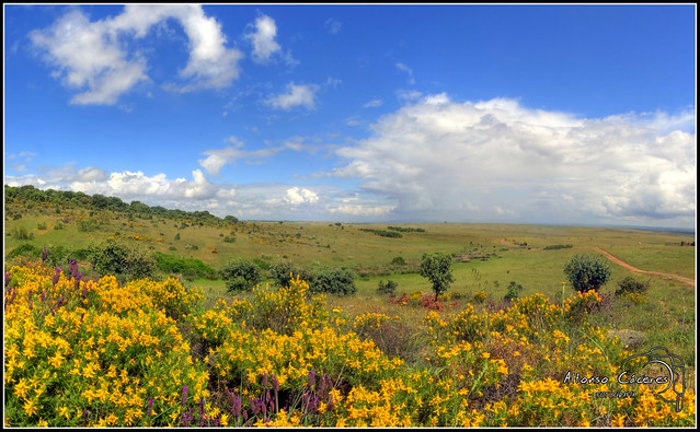 Tierras de Cáceres