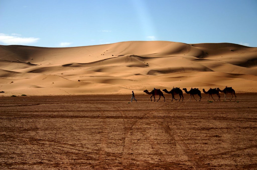 السياحة الصحراوية بالمغرب 5239252467_a4f22ff803_b