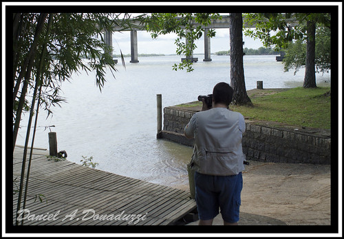 Paparazzi na Ilha da Pintada