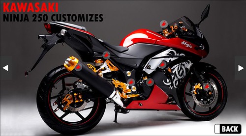 Wanz Shop - Ninja 250R accessories 5523089166_8ae3755e07