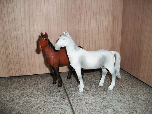 horses - New arrivals in my herd! 5285078365_77652703d4_z