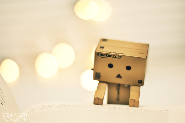 Kho ảnh Danbo cực kì ngầu, đáng yêu  5382115463_536abe4998_z