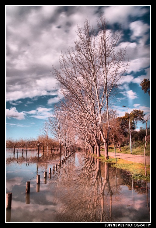 PATEIRA - 19 FEVEREIRO 2011 5463016440_40f8b755d3_o