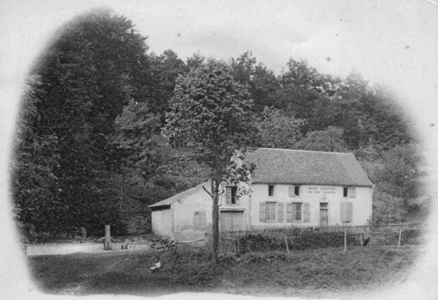 corvée d'eau à la maison du père Hilarion - Bois le Prêtre - Page 2 5500103294_78b32ed167_o