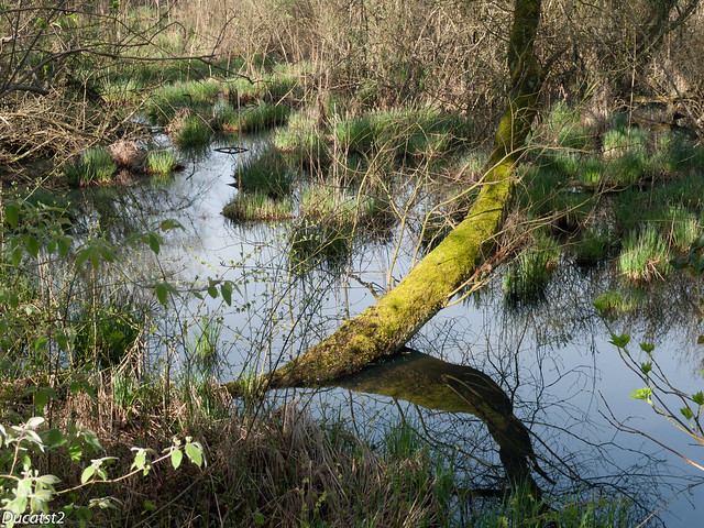 Ballade dans un beau coin de nature 5592522383_1cbcb4d54c_z