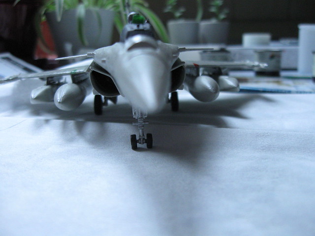 [HOBBYBOSS] Rafale C 1/72 5669805682_576070997d_z