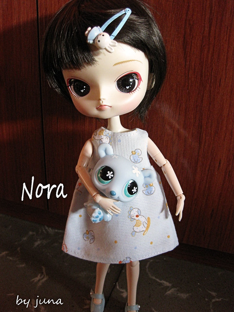Esta es Nora, mi sexta Dal, una Puki ^^ 5476901502_76e8e54b46_z