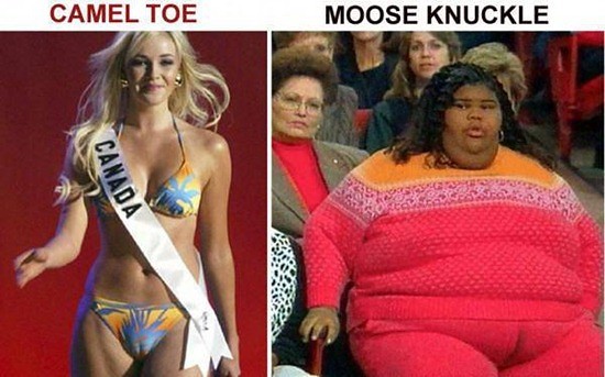 Mooosssse knuckle !!!!!!!!!!!!!!!!!!!!!!!!!!!!!!!!! 5637455296_16e64df017_z