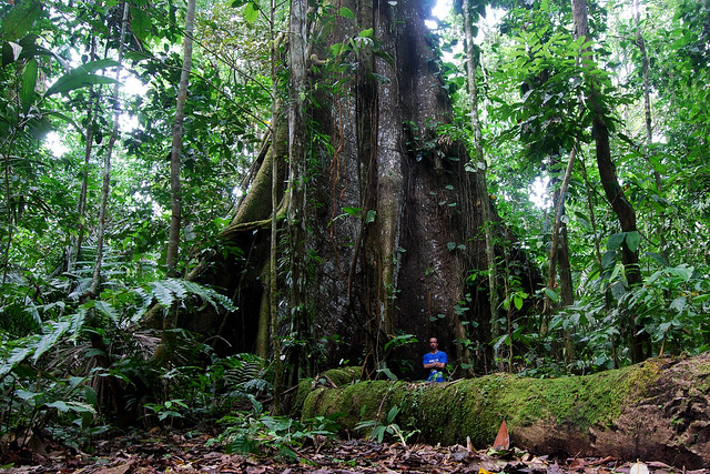 Una selva poblada de criaturas “extrañas” en Ecuador 5420698310_dcfa187cc0_z