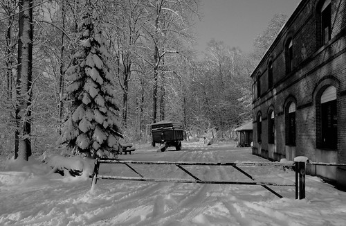 Winter wonderland contest on flickr which would be your winner ?    5277263911_bd9c8b45c6