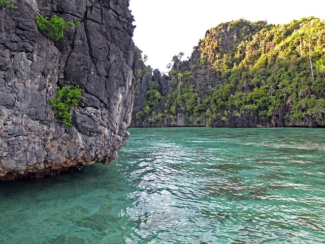 Un “Amazonas” submarino en Indonesia (Raja Ampat) 5555624219_a02dc5e008_z