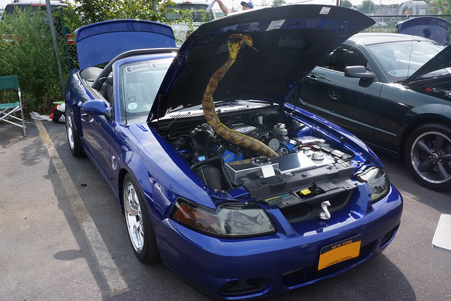 Levittown Ford Car Show 2013 Pics 9389122524_45253d83c7_z