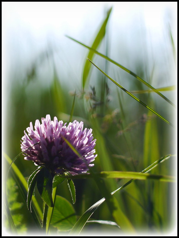 Une dernière avant la pluie... 8990058261_2c860a64dd_c