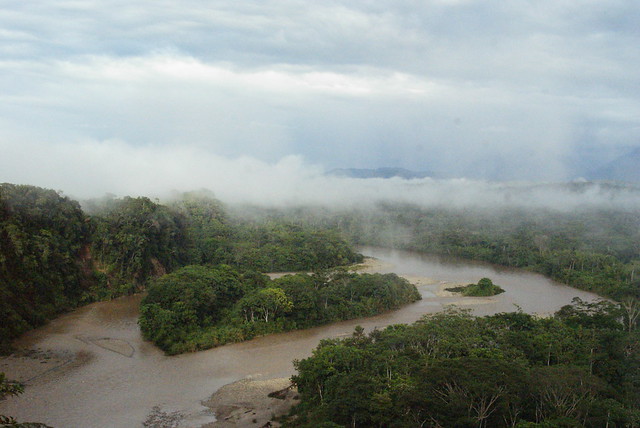 Una selva poblada de criaturas “extrañas” en Ecuador 7429245768_16ae68d040_z