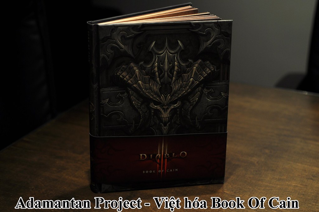 Game thủ Việt đón bão Diablo 3 7094794817_908995f0fc_b