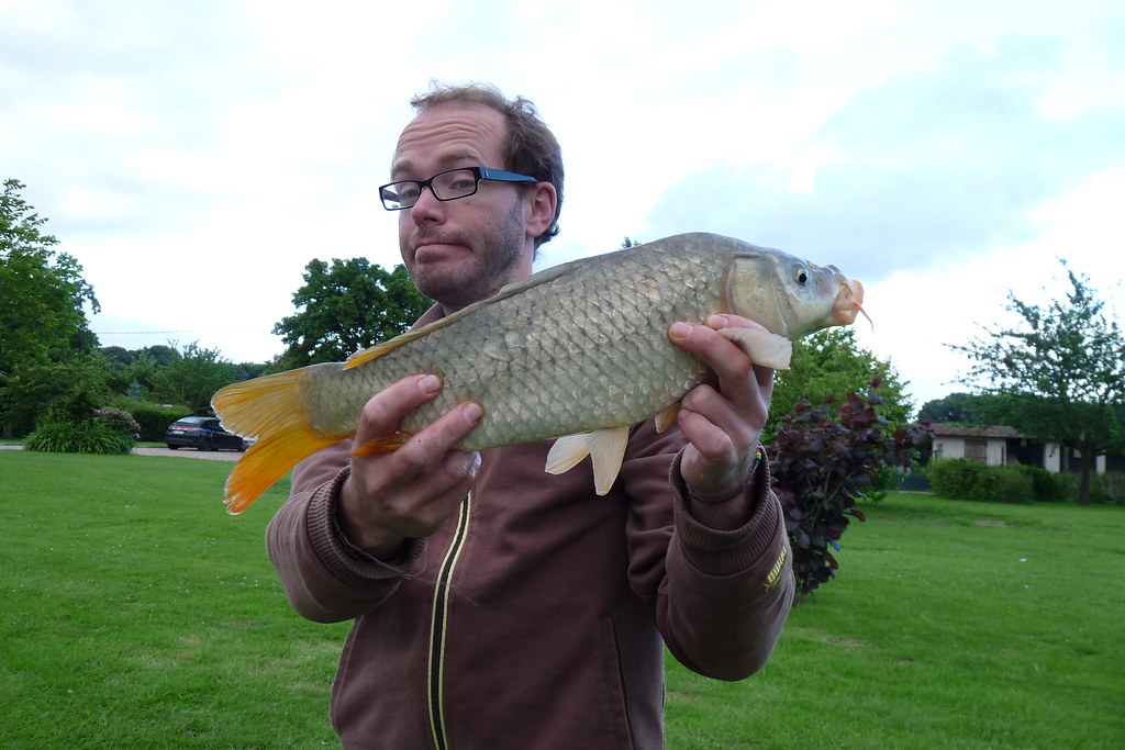 2013 Gite avec Pêche Etangs Les Briquetteries