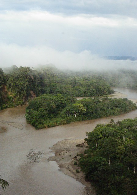 Una selva poblada de criaturas “extrañas” en Ecuador 7429244782_9b7c394cbd_z