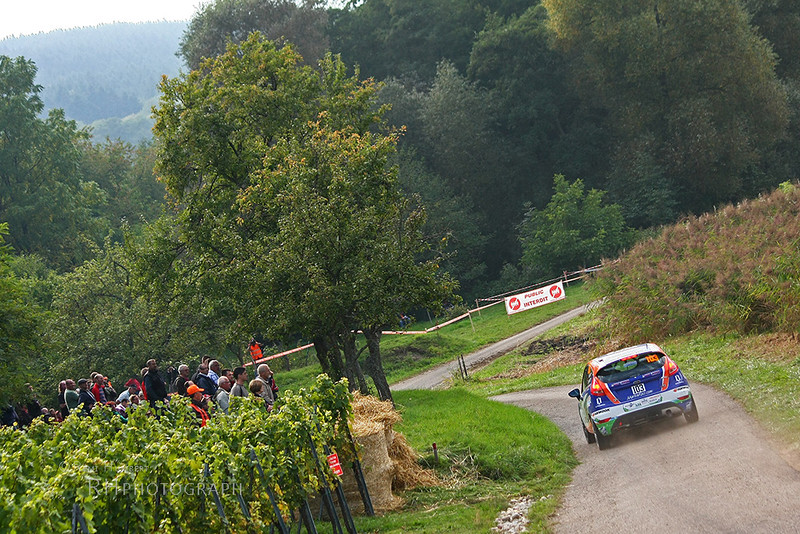 WRC: Rallye de France Alsace [3-6 Octubre] - Página 23 10124533303_30c5140a02_c