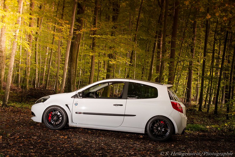 [Renault] Clio RS - Page 8 10317184833_7105b62b57_c