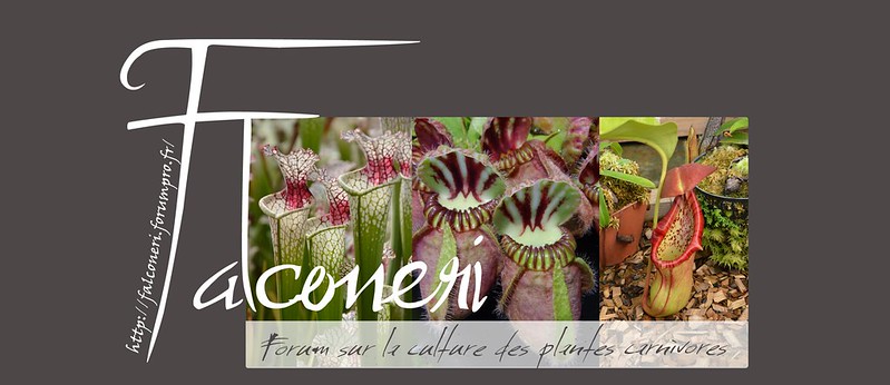 Forum sur les plantes carnivores