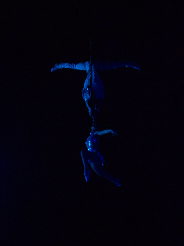 Cirque MEDRANO - Trapeze 12817338615_4e3a37abec_c