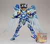 [Imagens] Saint Seiya Cloth Myth - Seiya Kamui 10th Anniversary Edition 10783019204_d251d3c365_t