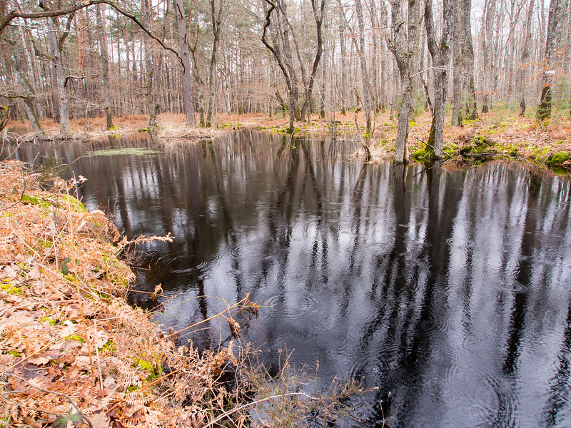 Les eaux noirs 12569132924_f628161191_c