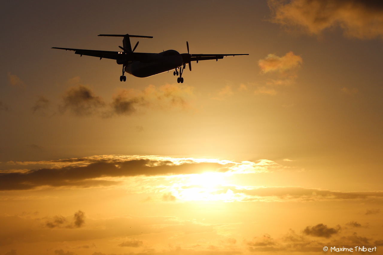 [TNCM-SXM] Spotting à Princess Juliana Intl  9673039431_ef3dd77b4b_o