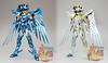 [Imagens] Saint Seiya Cloth Myth - Seiya Kamui 10th Anniversary Edition 10782983224_db39b2d2e8_t