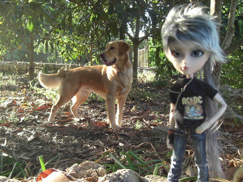 Juliet y Sokar (Taeyang Gyro Pullip Prupate)  9058043069_68c3ec1a88_c