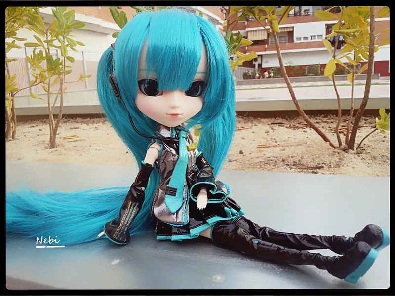 Pullip Miku hatsune 9524049819_416d120bfc_c