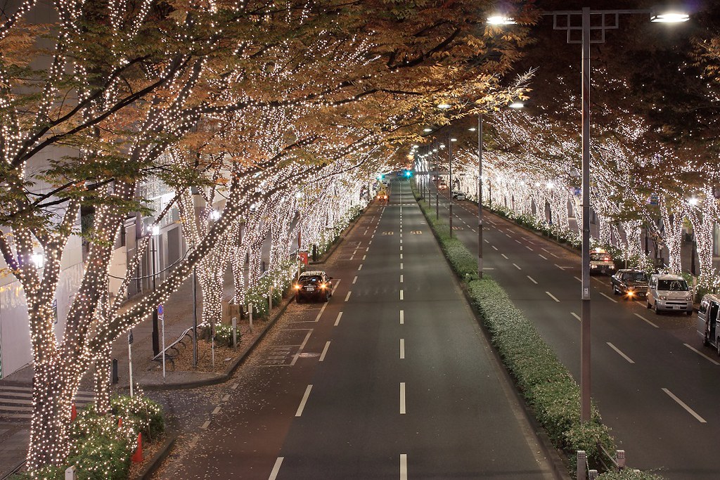 Definitivamente, en Japón nos llevan siglos de ventaja. Iluminación navideña. 10997464883_9fa96f12aa_b