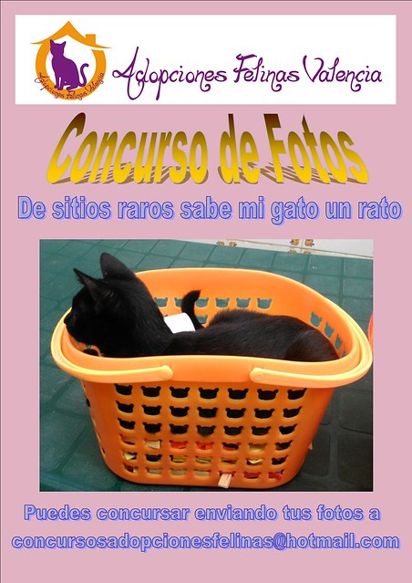 5º Concurso fotográfico "De sitios raros sabe mi gato un rato" Bases y fotos participantes 11738613636_719d98a253_z