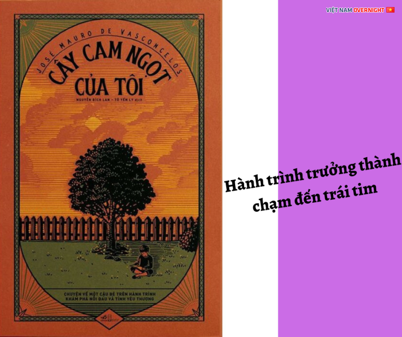 Review Sách - Cây Cam Ngọt Của Tôi - Câu Chuyện Chạm Đến Trái Tim 52261790356_0e4bb1cff6_o