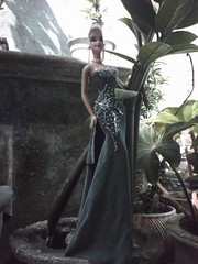  Một số Gown  5949509674_34862d9abe_m