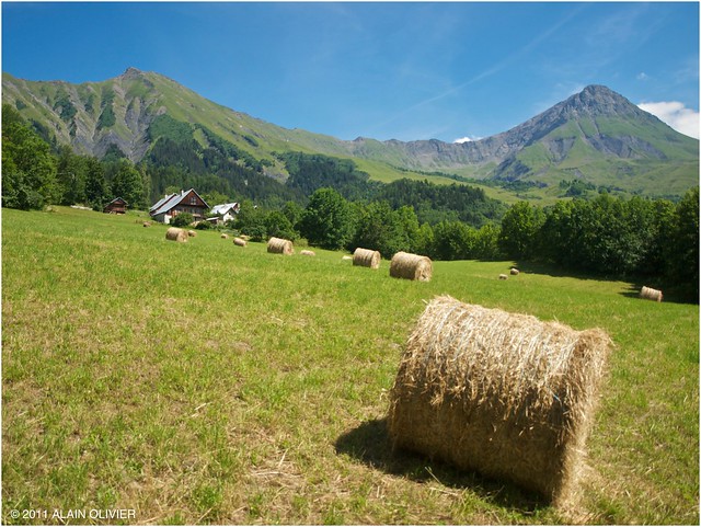 Pendant la sortie d'hier après-midi. 5942226999_2ec234e3c7_z