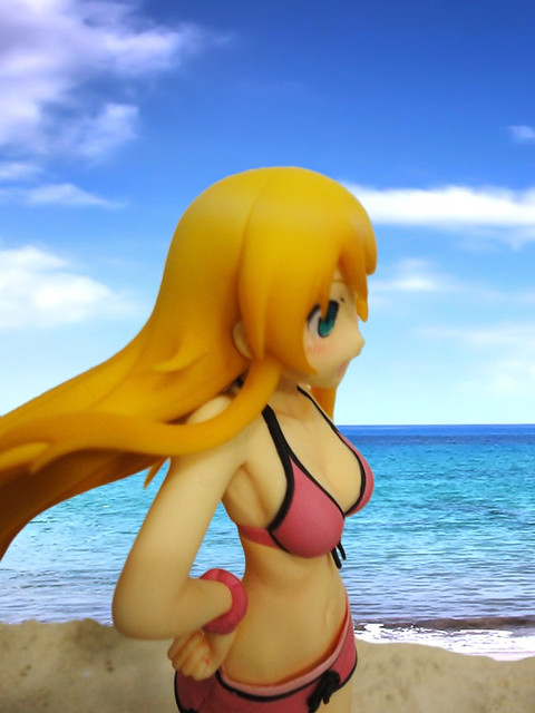 [Review] Kousaka Kirino Beach Queen (Wave) 5906650370_7a8c954e4e_z