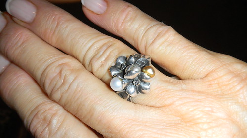 I tricked out my Hawthorn ring 6336318322_dc1b4aeea9