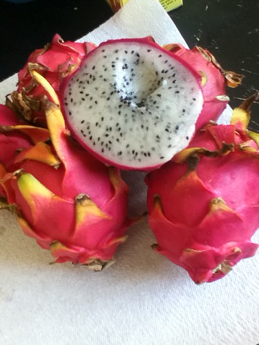 pitaya vine buds, flowers, and fruit 6121274172_34349bd87b