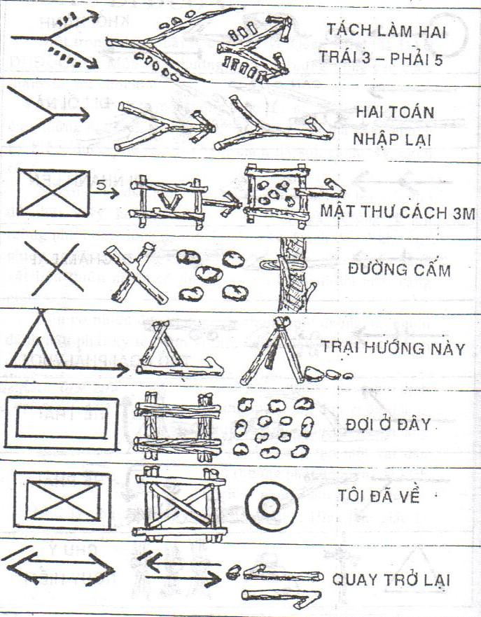 BẢNG 3 (DAU DI DUONG) 6043423489_c250336197_b