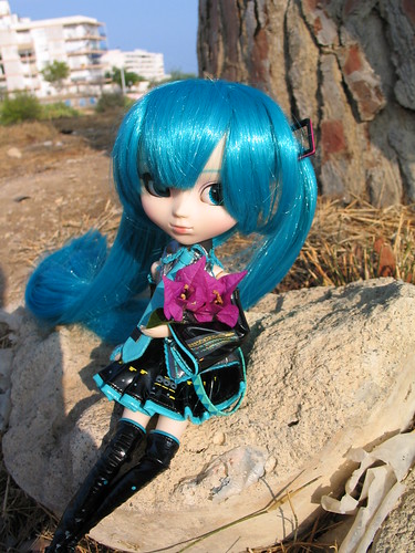 Miku (Pullip Miku Hatsune) 6315830422_6c88285156