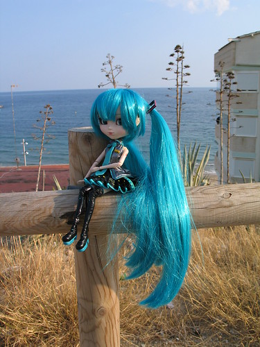 Miku (Pullip Miku Hatsune) 6315846546_ee15bd10d5