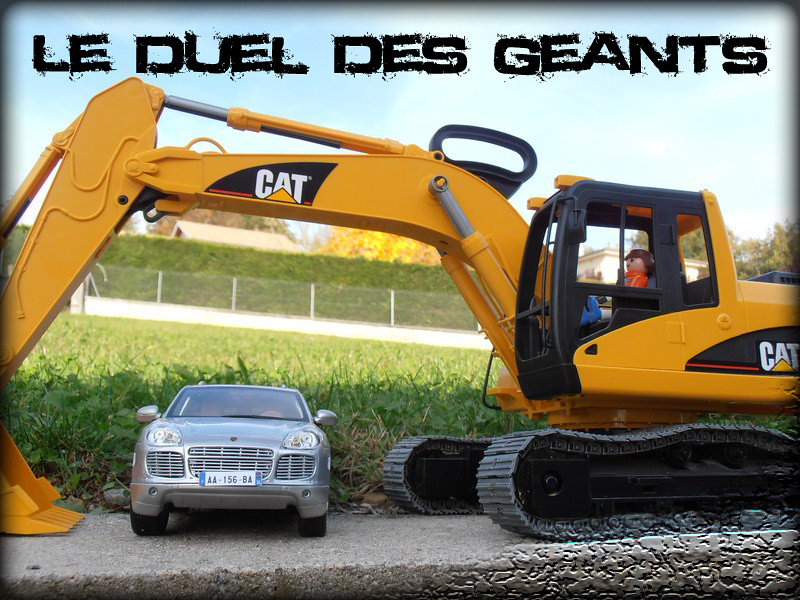 Duel de géants 6297925957_5c1bcfe4cd_b