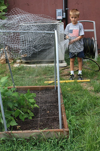 Prepping the Fall Garden.. 6009573811_c470fbdbba