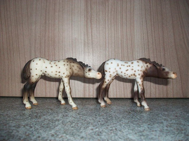 New arrivals in my herd! - Page 2 6171348573_56d64f91c2_z