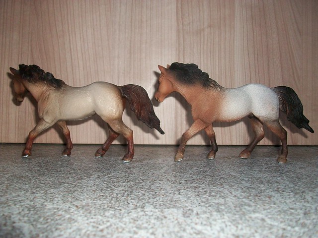 New arrivals in my herd! - Page 2 6171880784_4abbd8c35c_z