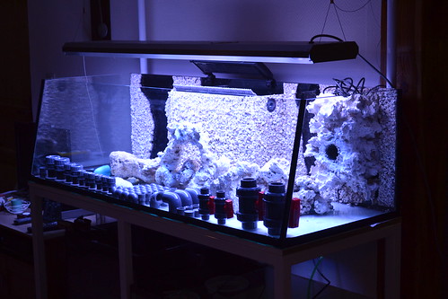 Luc's shallowreef tank 6354787177_91141341ed