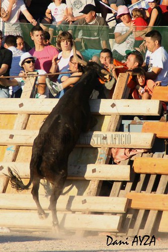 guerrera en santa barbara