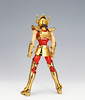 [Imagens] Saint Cloth Myth Seiya de Pégasus V1 Gold Limited 6058123887_76fd73ecba_t