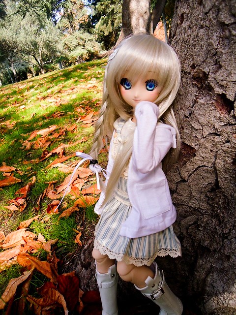 Noumi Kudryavka Autumn (MDD) 6309507833_fe83141e55_z